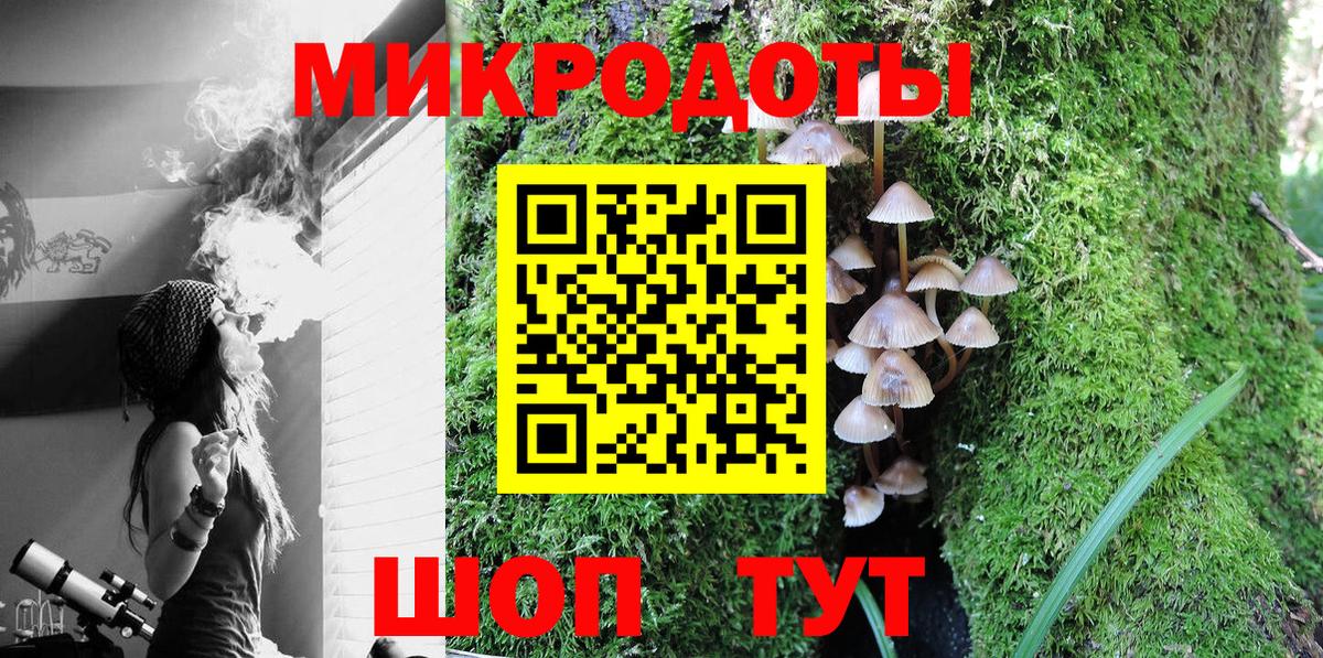 купить  сайты  Галлюциногенные грибы Magic Shrooms  Боровичи  Вход с VPN  Галлюциногенные грибы Psilocybe 