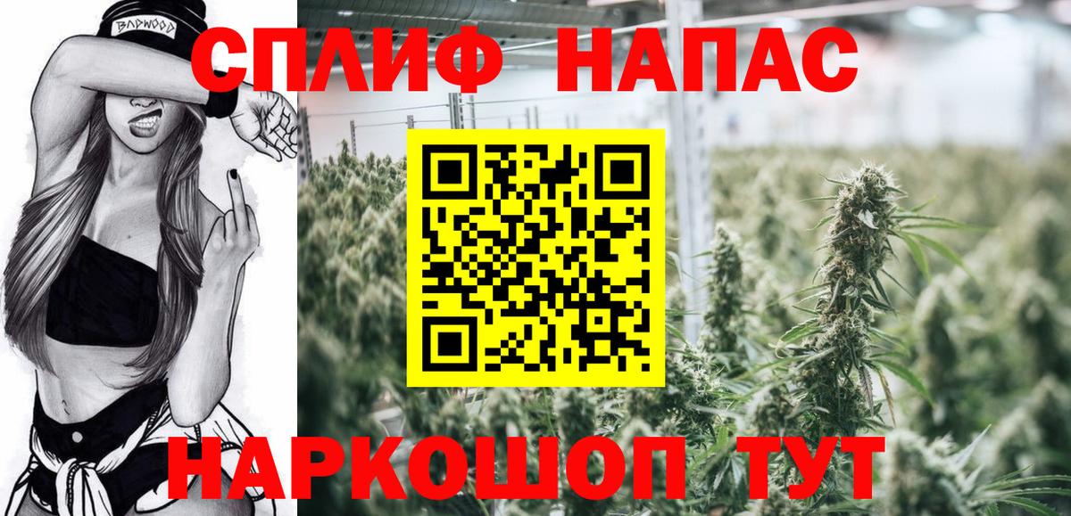 Канабис семена Боровичи
